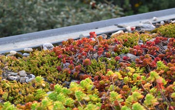 the cost of Clayland green roof installation