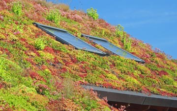 Clayland living roof systems