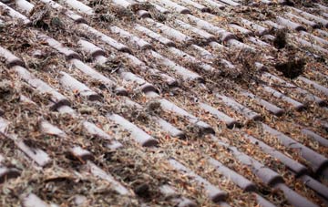 Clayland roof cleaning companies